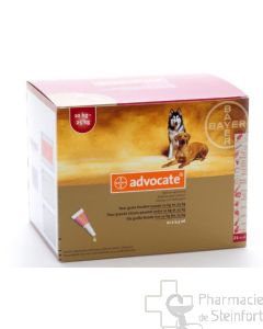 Advocate Spot on Große Hunde 10 - 25 kg 21 x 2.5 ml