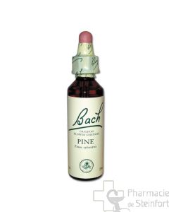 BACH ORIGINAL PIN SYLVESTRE (PINE) 20 ML            NR24