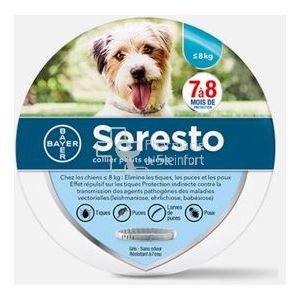 keramik futternapf Keramik Futternapf Katze creme