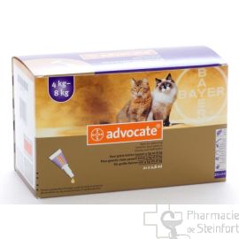 ADVOCATE SPOT ON CHAT Grand Chat 4-8 KG 21x 0,8 ML