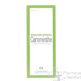 CAROMINTHE  DIGESTION DIFFICILE LEHNING 90 ML